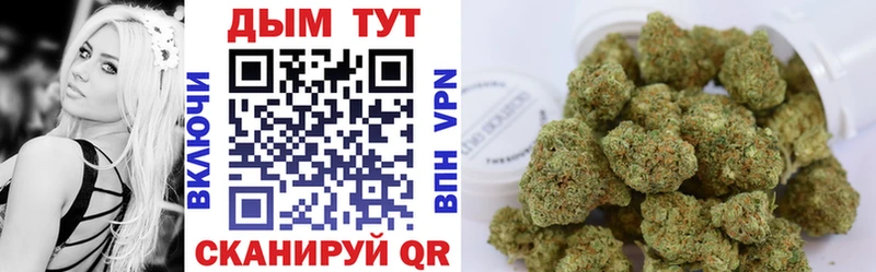 где найти   Нефтегорск  Бошки Шишки White Widow 